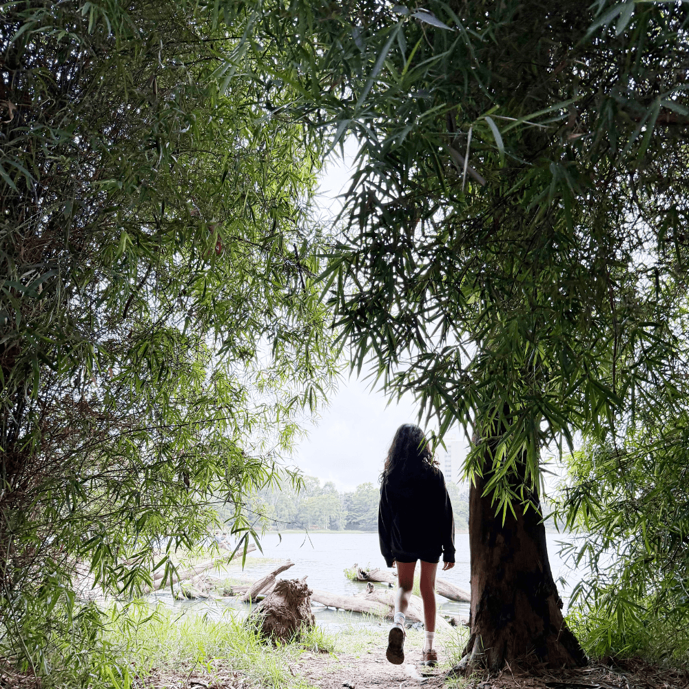 Bamboo Clearing