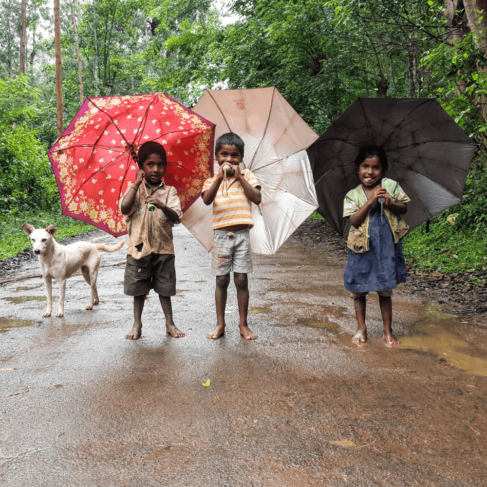 Chasing the monsoons