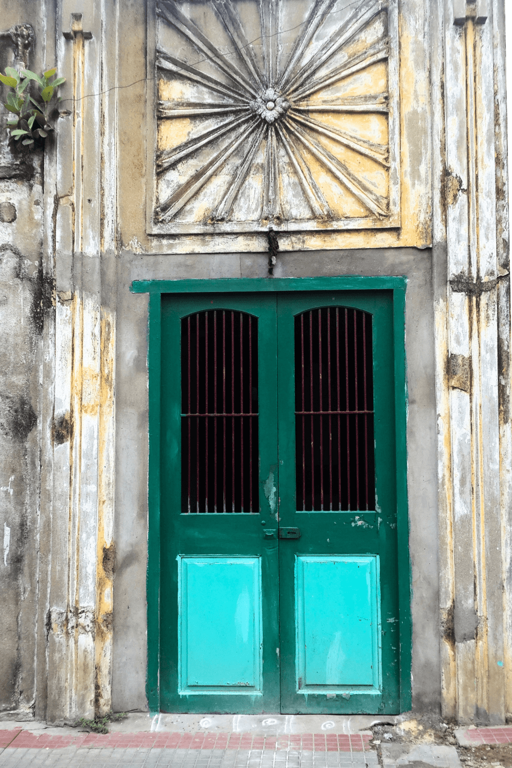 Green Door Chennai