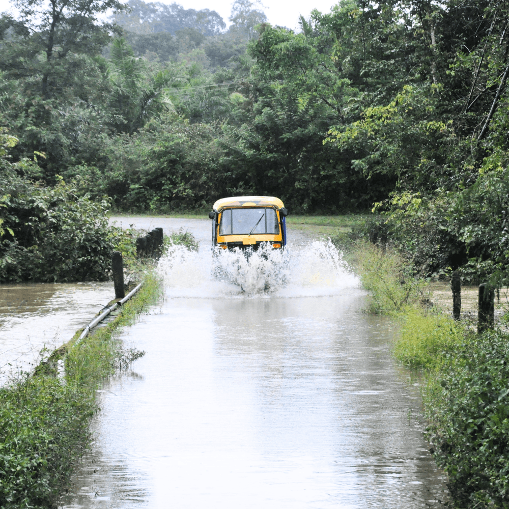 Monsoon Floods - Coorg