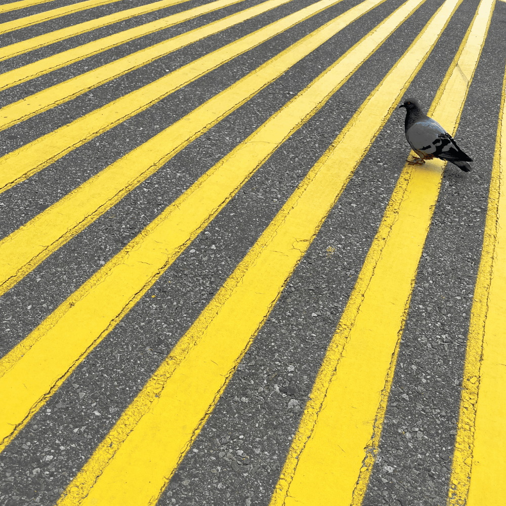 Pedestrian Crossing