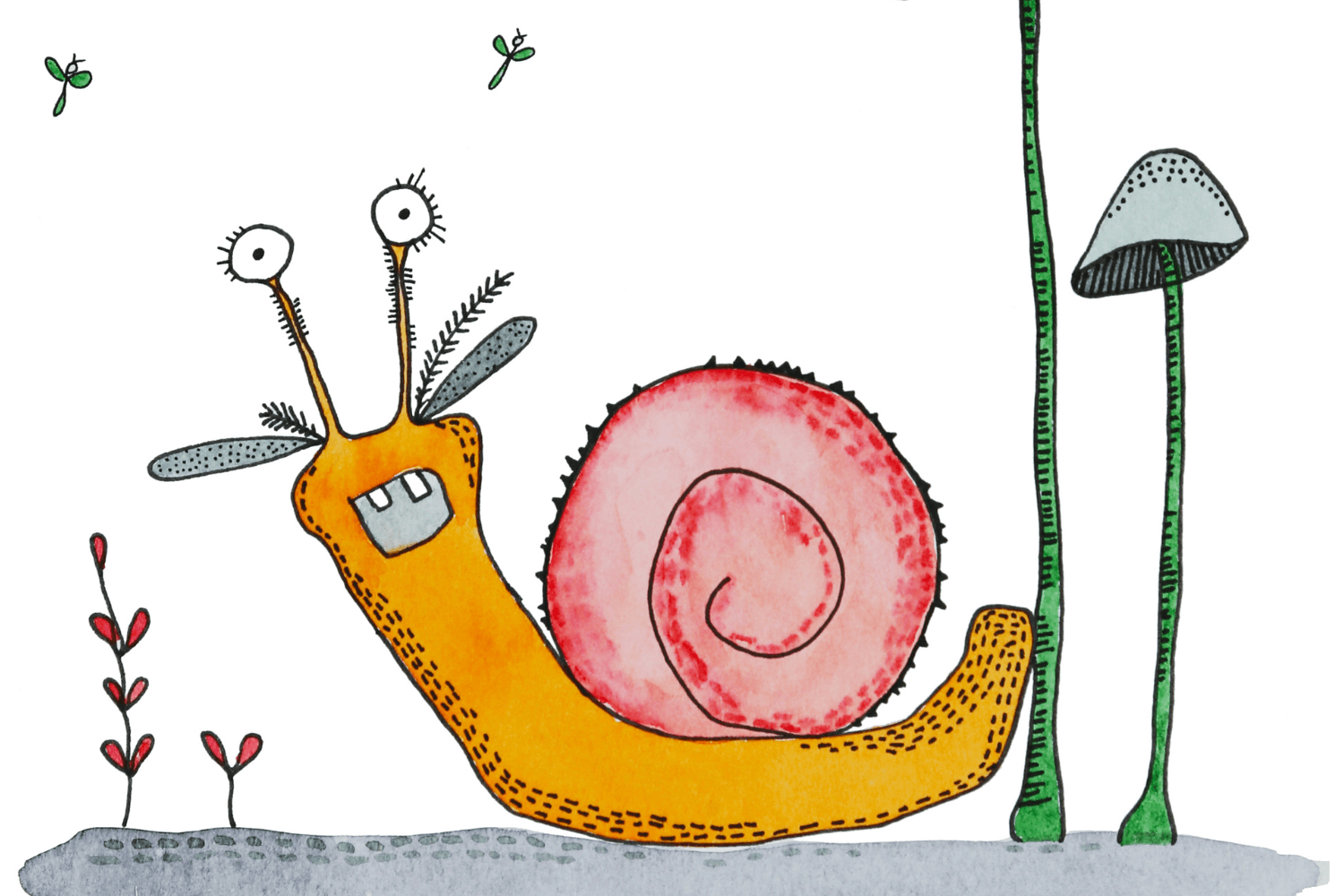 Pen & Ink Illustration Orange and Pink Snail