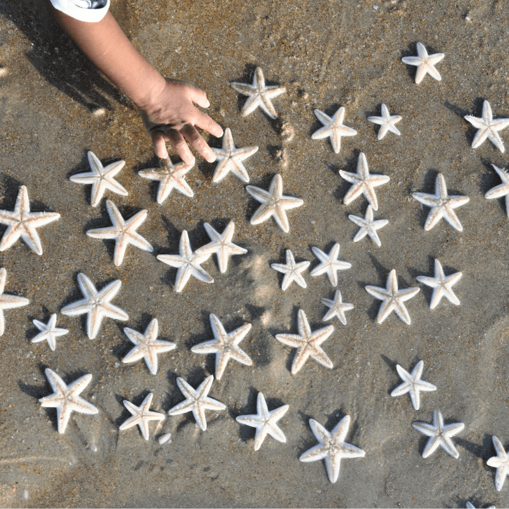 Star Gazing- Goa