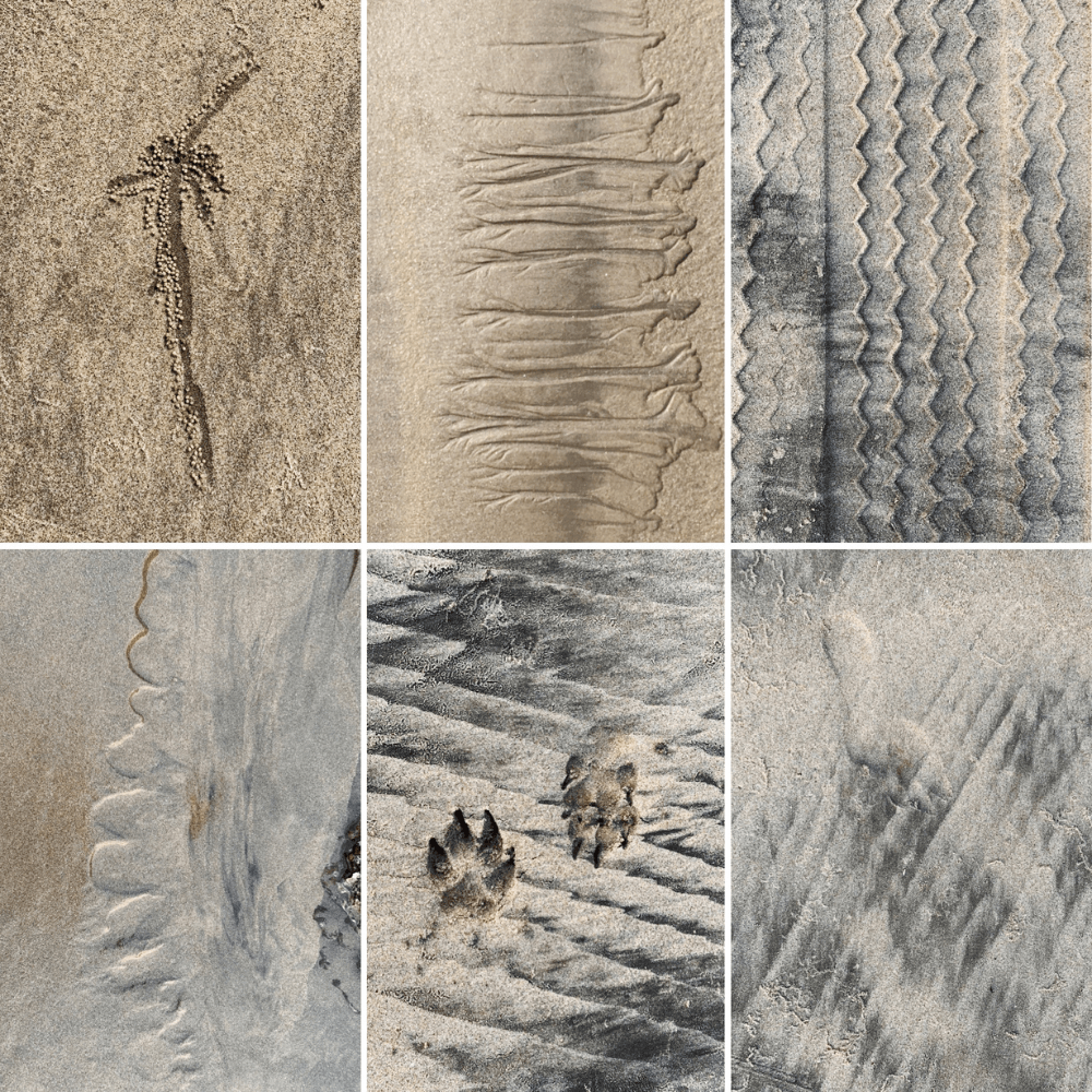 Sand Prints