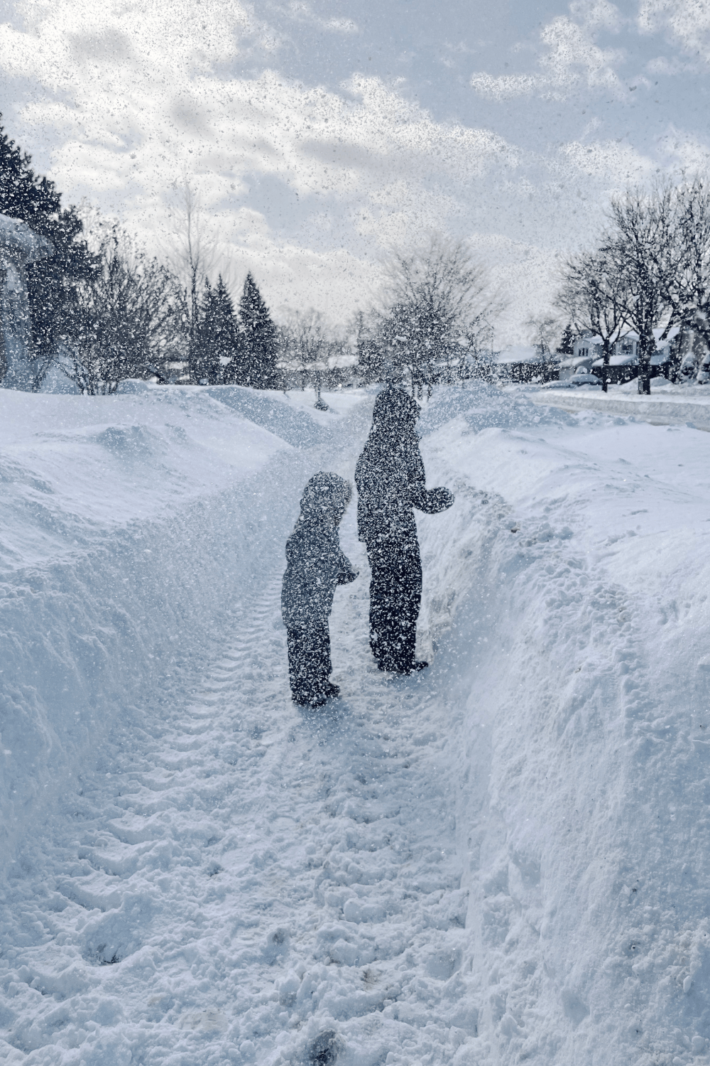 Toronto Winters