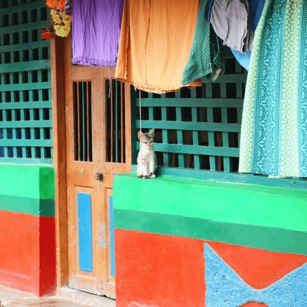 Colours of India