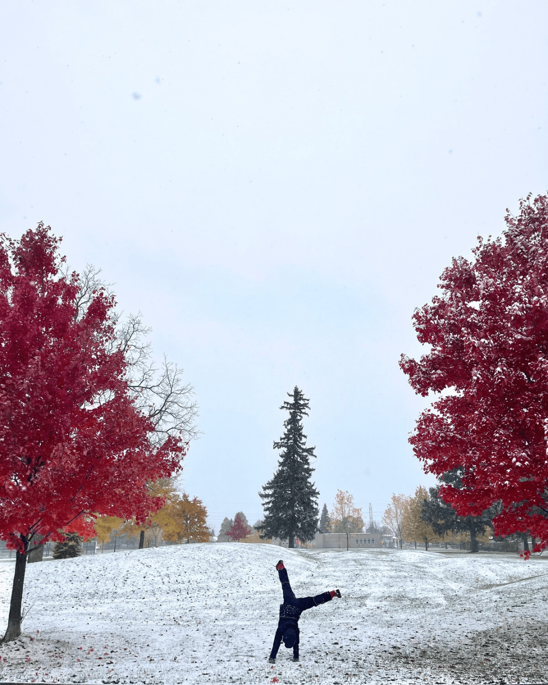 Early Snow - Toronto