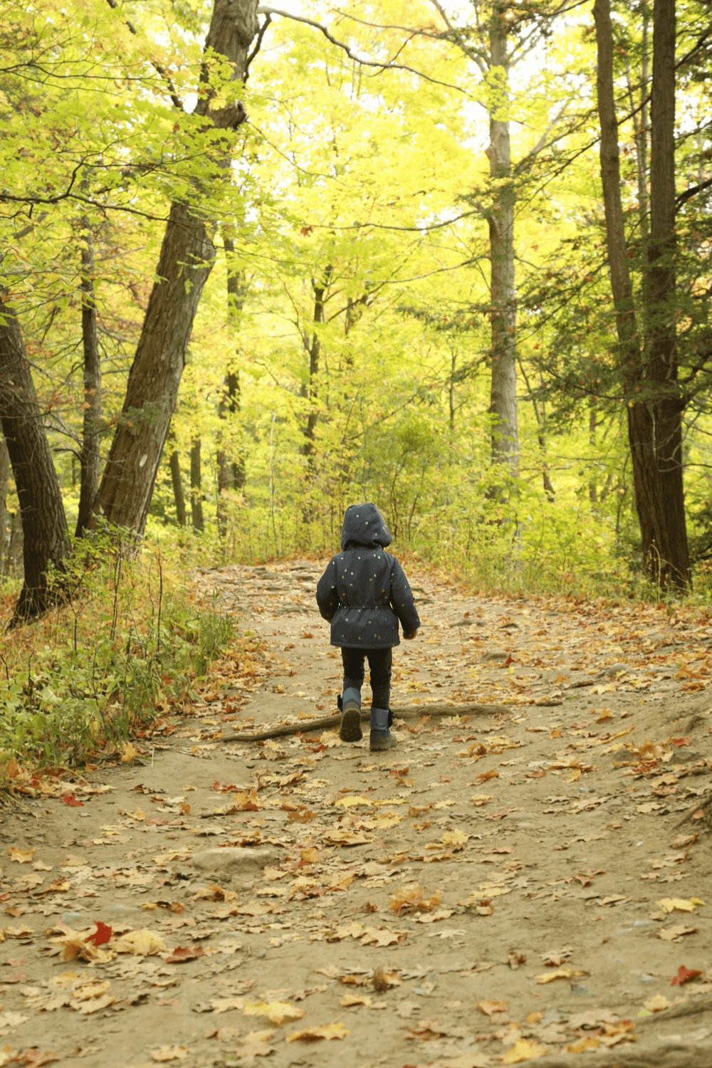 Fall - Toronto