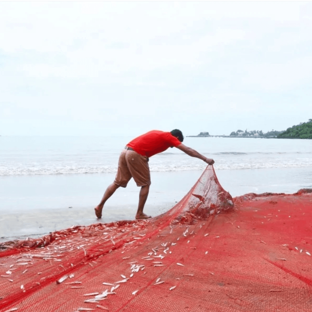 Fishing in Red - Goa