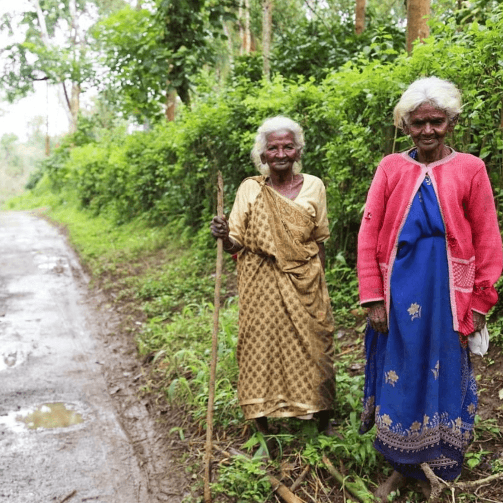 Long walk home - Coorg
