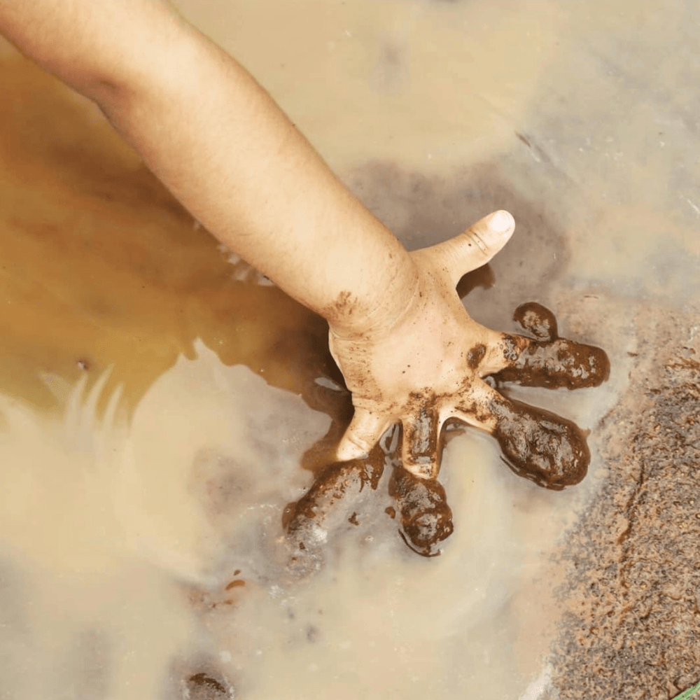 Muddy Puddles