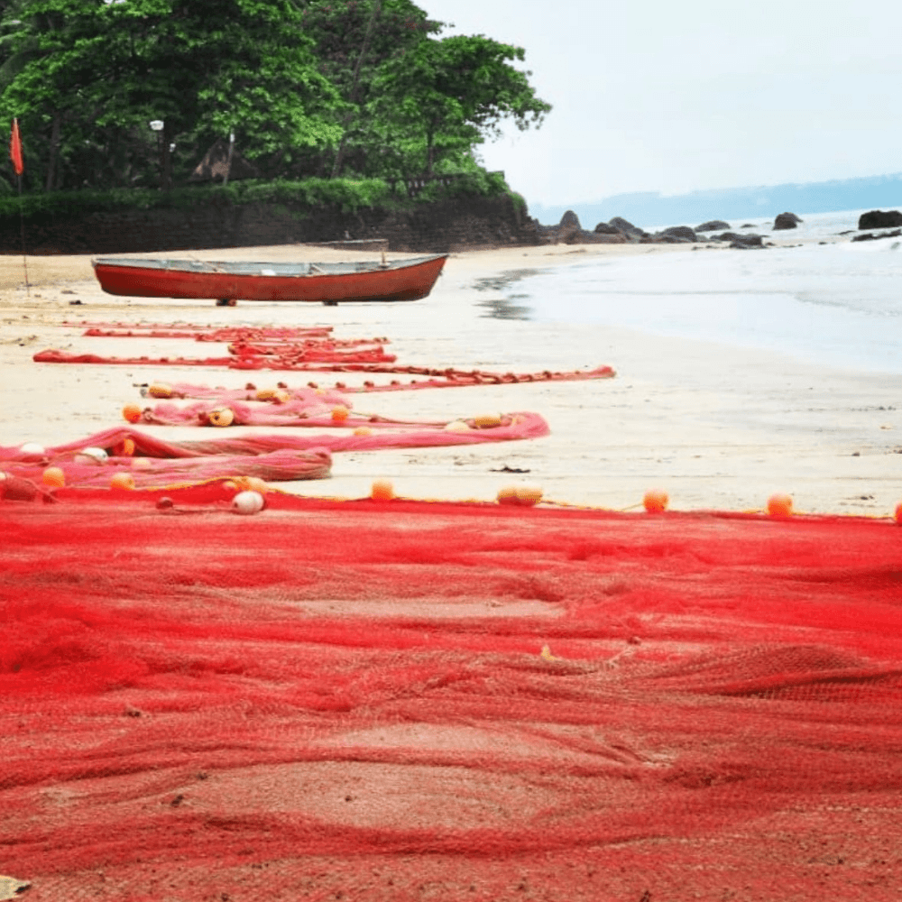 Preparing to Fish - Goa