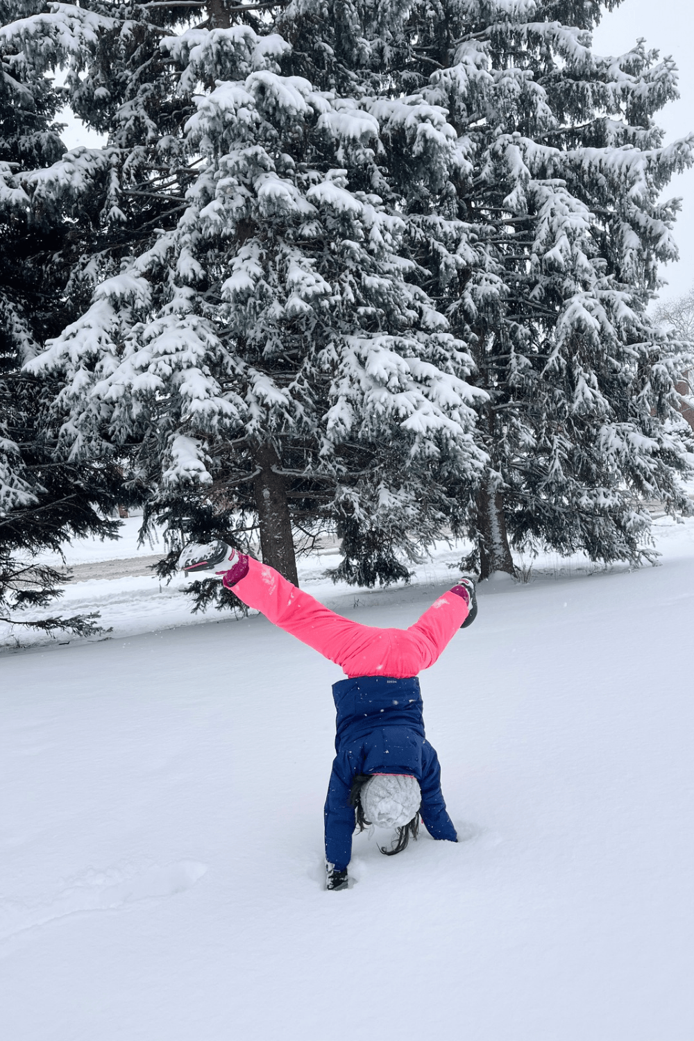Snow time - Toronto