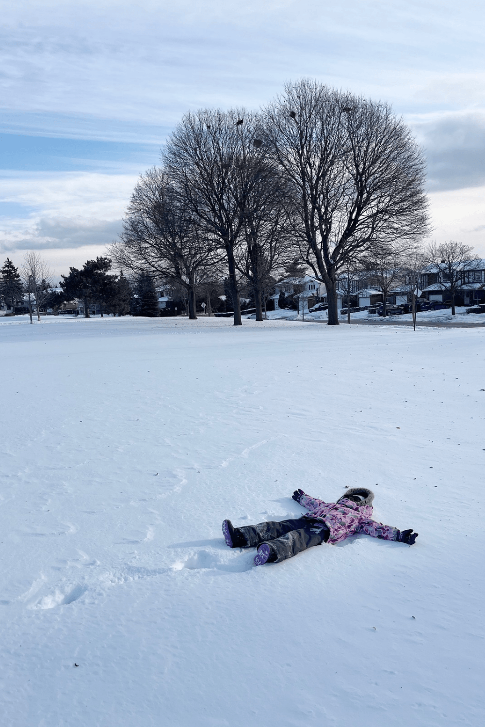 Snowy Day - Toronto