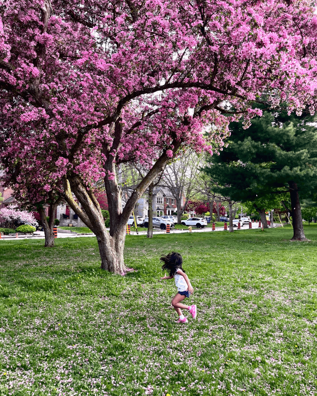 Spring - Toronto